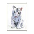 Picture of White Tiger Cub _GroupedProduct_Rectangle_Portrait_Mini_ _GroupedProduct_Rectangle_Portrait_Canvas_Framed_