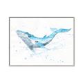Picture of Blue Whale Friend  _GroupedProduct_Rectangle_Landscape_Mini_ _GroupedProduct_Rectangle_Landscape_Canvas_Framed_