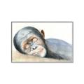 Picture of Sleeping Monkey _GroupedProduct_Rectangle_Landscape_Mini_ _GroupedProduct_Rectangle_Landscape_Canvas_Framed_