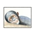 Picture of Sleeping Monkey _GroupedProduct_Rectangle_Landscape_Mini_ _GroupedProduct_Rectangle_Landscape_Canvas_Framed_