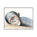 Picture of Sleeping Monkey _GroupedProduct_Rectangle_Landscape_Mini_ _GroupedProduct_Rectangle_Landscape_Canvas_Framed_
