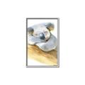 Picture of Sleeping Koala I _GroupedProduct_Rectangle_Portrait_Mini_ _GroupedProduct_Rectangle_Portrait_Canvas_Framed_