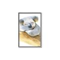 Picture of Sleeping Koala I _GroupedProduct_Rectangle_Portrait_Mini_ _GroupedProduct_Rectangle_Portrait_Canvas_Framed_