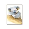 Picture of Sleeping Koala I _GroupedProduct_Rectangle_Portrait_Mini_ _GroupedProduct_Rectangle_Portrait_Canvas_Framed_