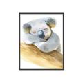 Picture of Sleeping Koala I _GroupedProduct_Rectangle_Portrait_Mini_ _GroupedProduct_Rectangle_Portrait_Canvas_Framed_