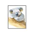 Picture of Sleeping Koala I _GroupedProduct_Rectangle_Portrait_Mini_ _GroupedProduct_Rectangle_Portrait_Canvas_Framed_