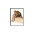 Picture of Sleeping Tiger _GroupedProduct_Rectangle_Portrait_Mini_ _GroupedProduct_Rectangle_Portrait_Canvas_Framed_