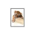 Picture of Sleeping Tiger _GroupedProduct_Rectangle_Portrait_Mini_ _GroupedProduct_Rectangle_Portrait_Canvas_Framed_