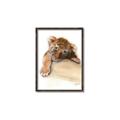 Picture of Sleeping Tiger _GroupedProduct_Rectangle_Portrait_Mini_ _GroupedProduct_Rectangle_Portrait_Canvas_Framed_