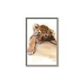 Picture of Sleeping Tiger _GroupedProduct_Rectangle_Portrait_Mini_ _GroupedProduct_Rectangle_Portrait_Canvas_Framed_