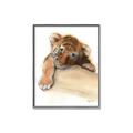 Picture of Sleeping Tiger _GroupedProduct_Rectangle_Portrait_Mini_ _GroupedProduct_Rectangle_Portrait_Canvas_Framed_