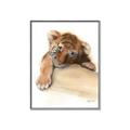 Picture of Sleeping Tiger _GroupedProduct_Rectangle_Portrait_Mini_ _GroupedProduct_Rectangle_Portrait_Canvas_Framed_