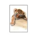 Picture of Sleeping Tiger _GroupedProduct_Rectangle_Portrait_Mini_ _GroupedProduct_Rectangle_Portrait_Canvas_Framed_