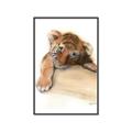 Picture of Sleeping Tiger _GroupedProduct_Rectangle_Portrait_Mini_ _GroupedProduct_Rectangle_Portrait_Canvas_Framed_
