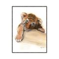 Picture of Sleeping Tiger _GroupedProduct_Rectangle_Portrait_Mini_ _GroupedProduct_Rectangle_Portrait_Canvas_Framed_