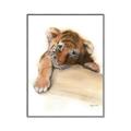 Picture of Sleeping Tiger _GroupedProduct_Rectangle_Portrait_Mini_ _GroupedProduct_Rectangle_Portrait_Canvas_Framed_