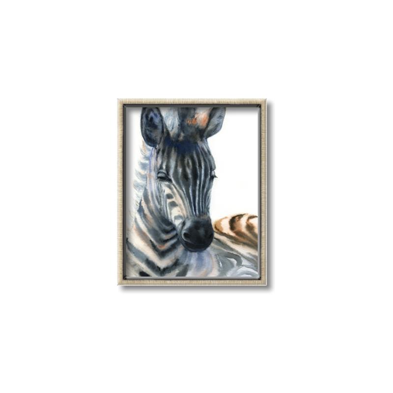 Picture of Sleeping Zebra _GroupedProduct_Rectangle_Portrait_Mini_ _GroupedProduct_Rectangle_Portrait_Canvas_Framed_