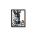 Picture of Sleeping Zebra _GroupedProduct_Rectangle_Portrait_Mini_ _GroupedProduct_Rectangle_Portrait_Canvas_Framed_