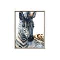 Picture of Sleeping Zebra _GroupedProduct_Rectangle_Portrait_Mini_ _GroupedProduct_Rectangle_Portrait_Canvas_Framed_