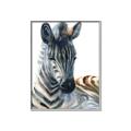 Picture of Sleeping Zebra _GroupedProduct_Rectangle_Portrait_Mini_ _GroupedProduct_Rectangle_Portrait_Canvas_Framed_