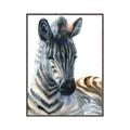 Picture of Sleeping Zebra _GroupedProduct_Rectangle_Portrait_Mini_ _GroupedProduct_Rectangle_Portrait_Canvas_Framed_
