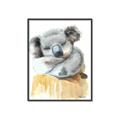 Picture of Sleeping Koala II  _GroupedProduct_Rectangle_Portrait_Mini_ _GroupedProduct_Rectangle_Portrait_Canvas_Framed_