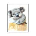 Picture of Sleeping Koala II  _GroupedProduct_Rectangle_Portrait_Mini_ _GroupedProduct_Rectangle_Portrait_Canvas_Framed_
