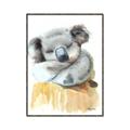 Picture of Sleeping Koala II  _GroupedProduct_Rectangle_Portrait_Mini_ _GroupedProduct_Rectangle_Portrait_Canvas_Framed_