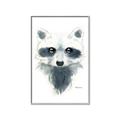 Picture of Raccoony _GroupedProduct_Rectangle_Portrait_Mini_ _GroupedProduct_Rectangle_Portrait_Canvas_Framed_
