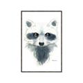 Picture of Raccoony _GroupedProduct_Rectangle_Portrait_Mini_ _GroupedProduct_Rectangle_Portrait_Canvas_Framed_