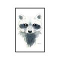Picture of Raccoony _GroupedProduct_Rectangle_Portrait_Mini_ _GroupedProduct_Rectangle_Portrait_Canvas_Framed_