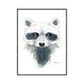Picture of Raccoony _GroupedProduct_Rectangle_Portrait_Mini_ _GroupedProduct_Rectangle_Portrait_Canvas_Framed_