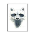 Picture of Raccoony _GroupedProduct_Rectangle_Portrait_Mini_ _GroupedProduct_Rectangle_Portrait_Canvas_Framed_