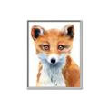 Picture of Foxy Fox _GroupedProduct_Rectangle_Portrait_Mini_ _GroupedProduct_Rectangle_Portrait_Canvas_Framed_