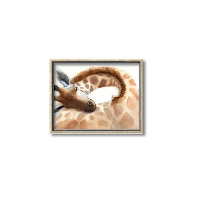 Picture of Sleeping Giraffe _GroupedProduct_Rectangle_Landscape_Mini_ _GroupedProduct_Rectangle_Landscape_Canvas_Framed_