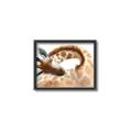 Picture of Sleeping Giraffe _GroupedProduct_Rectangle_Landscape_Mini_ _GroupedProduct_Rectangle_Landscape_Canvas_Framed_