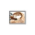 Picture of Sleeping Giraffe _GroupedProduct_Rectangle_Landscape_Mini_ _GroupedProduct_Rectangle_Landscape_Canvas_Framed_