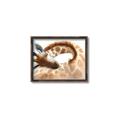 Picture of Sleeping Giraffe _GroupedProduct_Rectangle_Landscape_Mini_ _GroupedProduct_Rectangle_Landscape_Canvas_Framed_