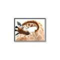Picture of Sleeping Giraffe _GroupedProduct_Rectangle_Landscape_Mini_ _GroupedProduct_Rectangle_Landscape_Canvas_Framed_