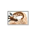 Picture of Sleeping Giraffe _GroupedProduct_Rectangle_Landscape_Mini_ _GroupedProduct_Rectangle_Landscape_Canvas_Framed_