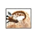 Picture of Sleeping Giraffe _GroupedProduct_Rectangle_Landscape_Mini_ _GroupedProduct_Rectangle_Landscape_Canvas_Framed_