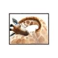 Picture of Sleeping Giraffe _GroupedProduct_Rectangle_Landscape_Mini_ _GroupedProduct_Rectangle_Landscape_Canvas_Framed_