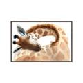 Picture of Sleeping Giraffe _GroupedProduct_Rectangle_Landscape_Mini_ _GroupedProduct_Rectangle_Landscape_Canvas_Framed_