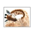 Picture of Sleeping Giraffe _GroupedProduct_Rectangle_Landscape_Mini_ _GroupedProduct_Rectangle_Landscape_Canvas_Framed_