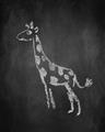 Picture of Chalk Giraffe _GroupedProduct_Rectangle_Portrait_Mini_ _GroupedProduct_Rectangle_Portrait_Unframed_Print_Only_