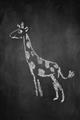 Picture of Chalk Giraffe _GroupedProduct_Rectangle_Portrait_Mini_ _GroupedProduct_Rectangle_Portrait_Unframed_Print_Only_