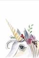 Picture of Flower Unicorn _GroupedProduct_Rectangle_Portrait_Mini_ _GroupedProduct_Rectangle_Portrait_Unframed_Print_Only_