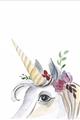 Picture of Flower Unicorn _GroupedProduct_Rectangle_Portrait_Mini_ _GroupedProduct_Rectangle_Portrait_Unframed_Print_Only_