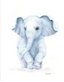 Picture of Baby Blue Elephant _GroupedProduct_Rectangle_Portrait_Mini_ _GroupedProduct_Rectangle_Portrait_Unframed_Print_Only_