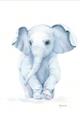 Picture of Baby Blue Elephant _GroupedProduct_Rectangle_Portrait_Mini_ _GroupedProduct_Rectangle_Portrait_Unframed_Print_Only_